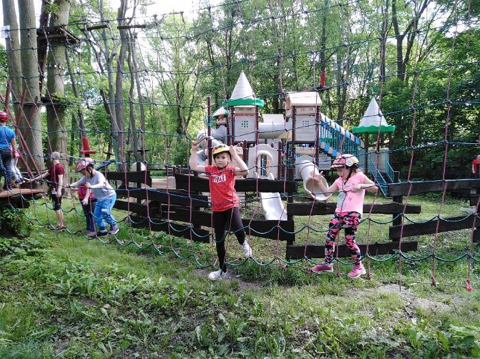 PARK LINOWY (64)